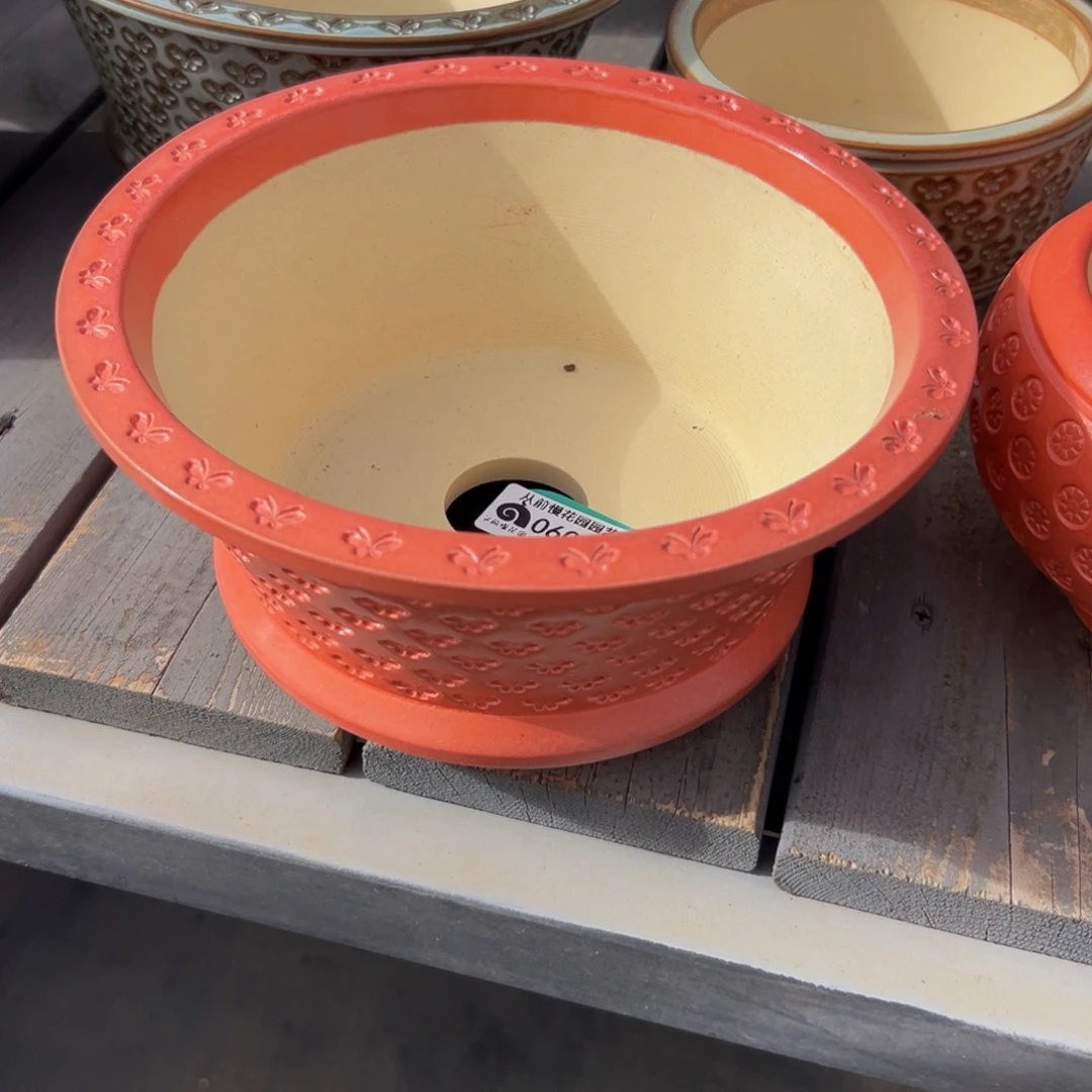 食*署多肉一物一拍0601-16