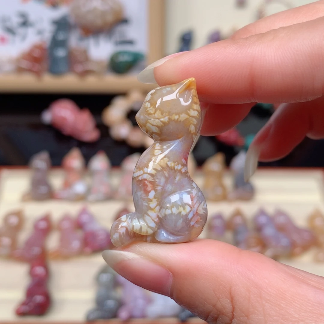 硅化玉珊瑚玉未镶嵌