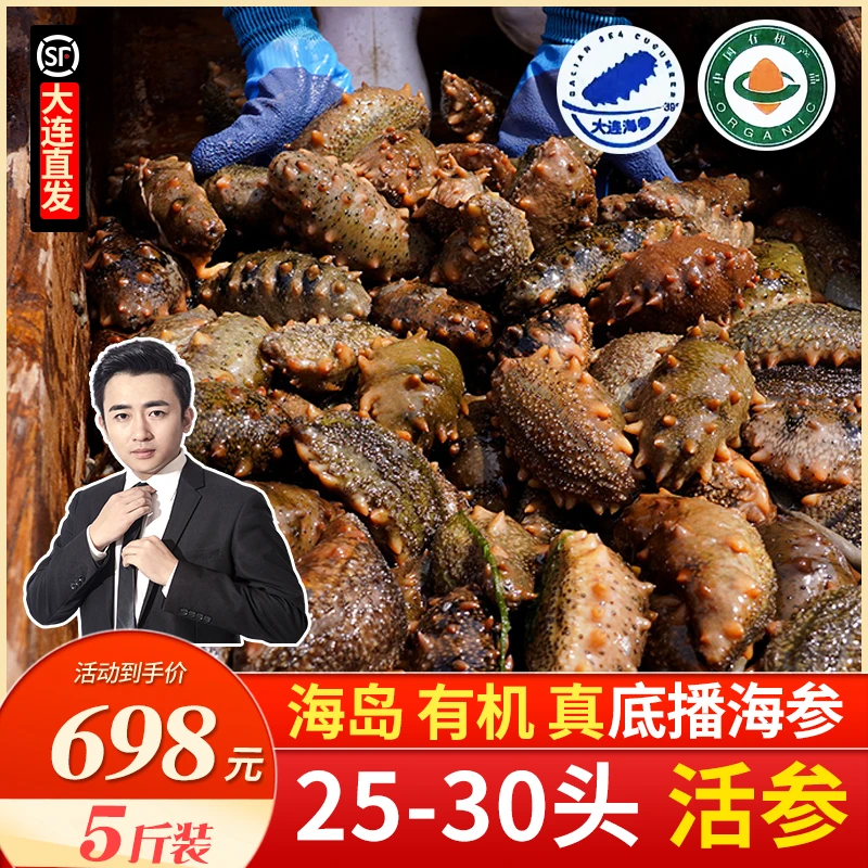 【现场捕捞  海岛活参】大连海参 有机 25-30头 八分熟冻煮750g左右