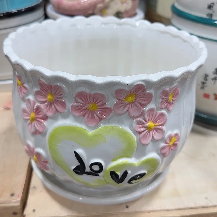 全部花盆福利处理···满10包邮