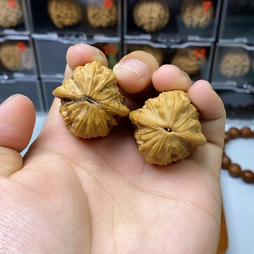 红玉狮子头野生原树