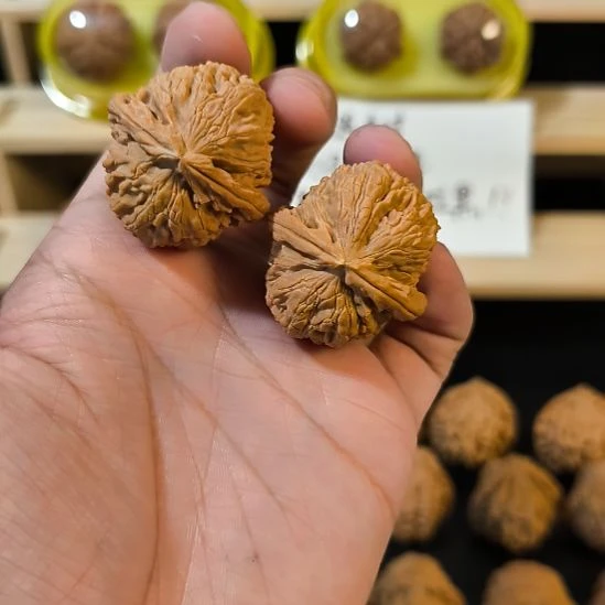 文玩核桃吊坠36白狮子
