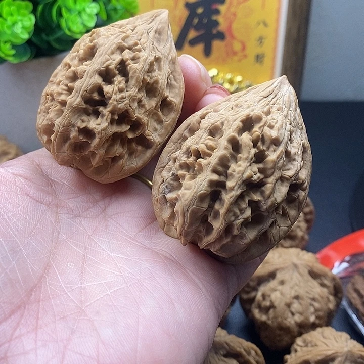 龙脊菩提吊坠大古石43克63