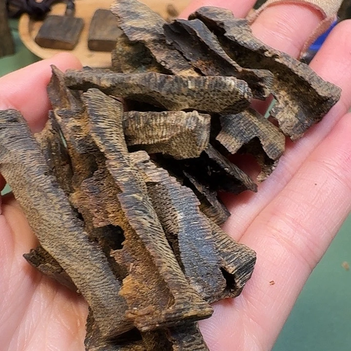 沉香碎屑沉香海南高端老棋楠蓝香壳子虫漏老料20克