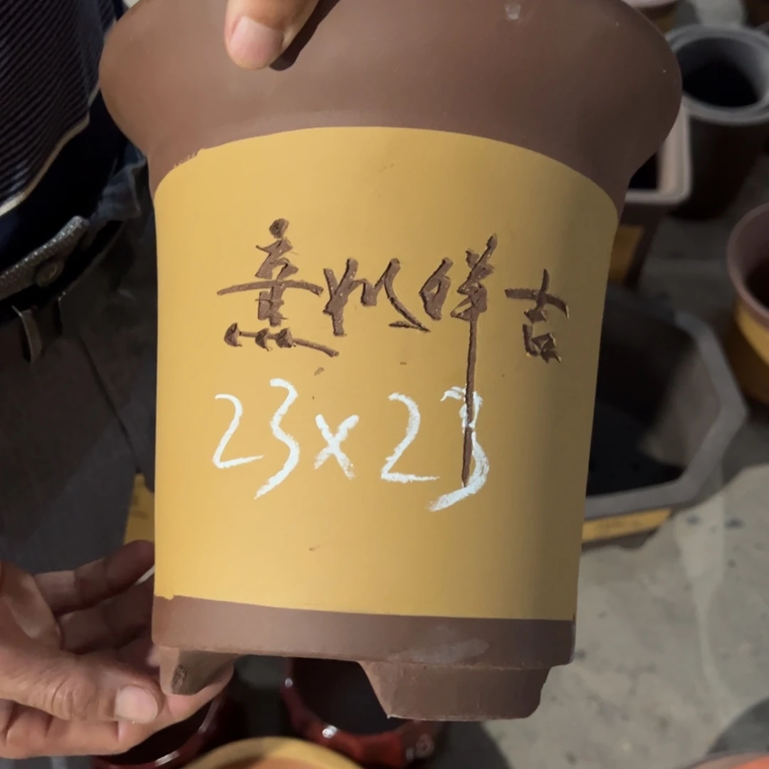 紫砂工艺厂？紫砂工艺厂……紫砂工艺厂