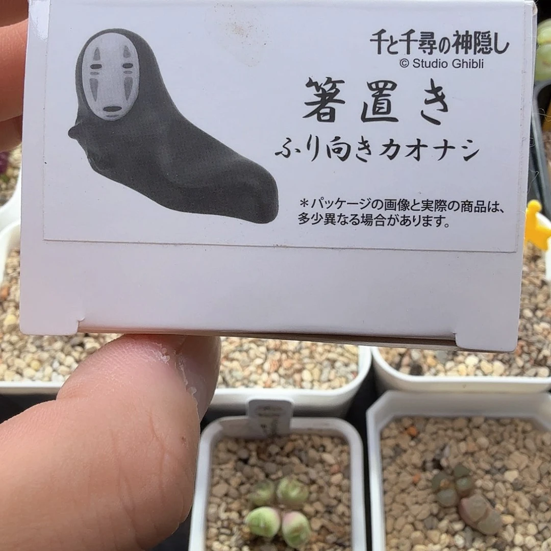 树*dy1 树树 6/4