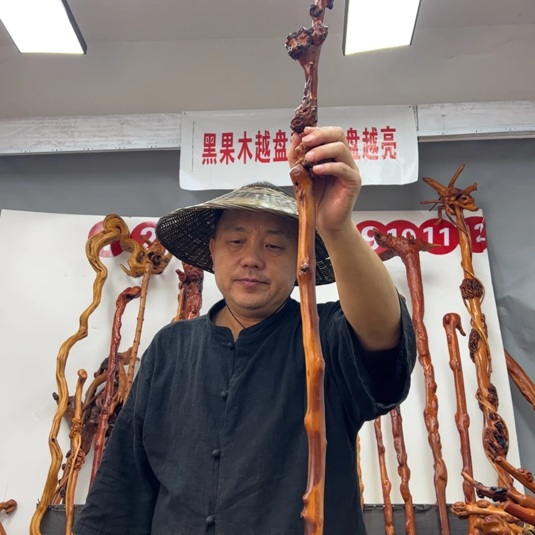 小***标黑果木其他黑果木215