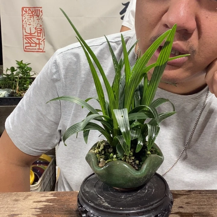 叁*?一物一拍所见即所得167
