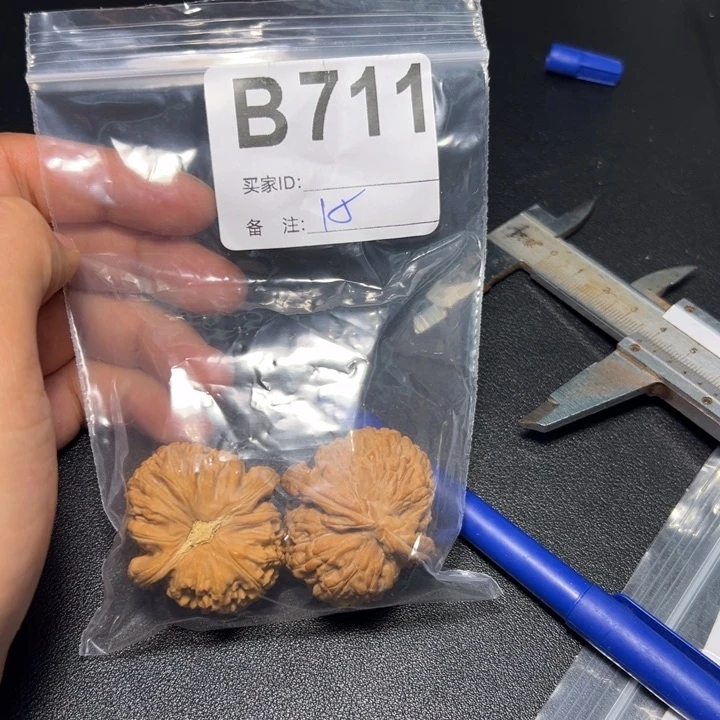 哈哈哈哈我的小可爱