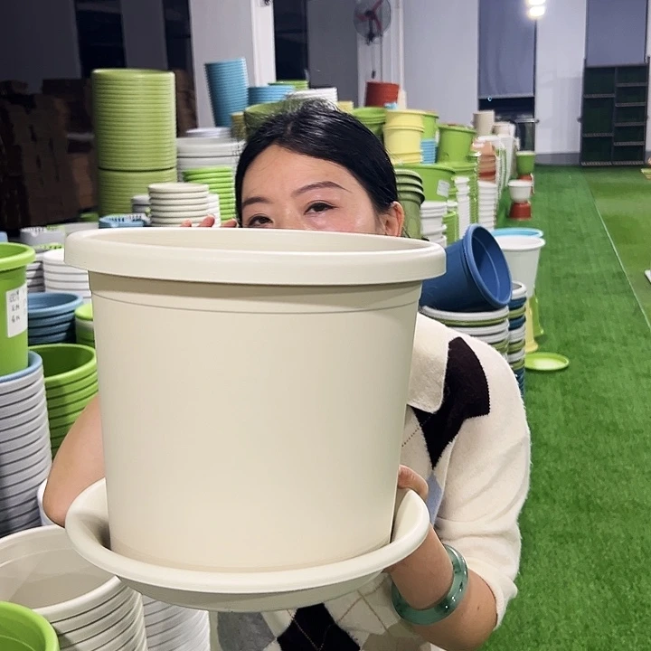 特价5号四季口29高24.5米色6只带托