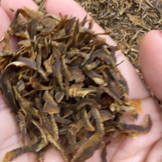 财****摆件沉香老乌身切丝10克