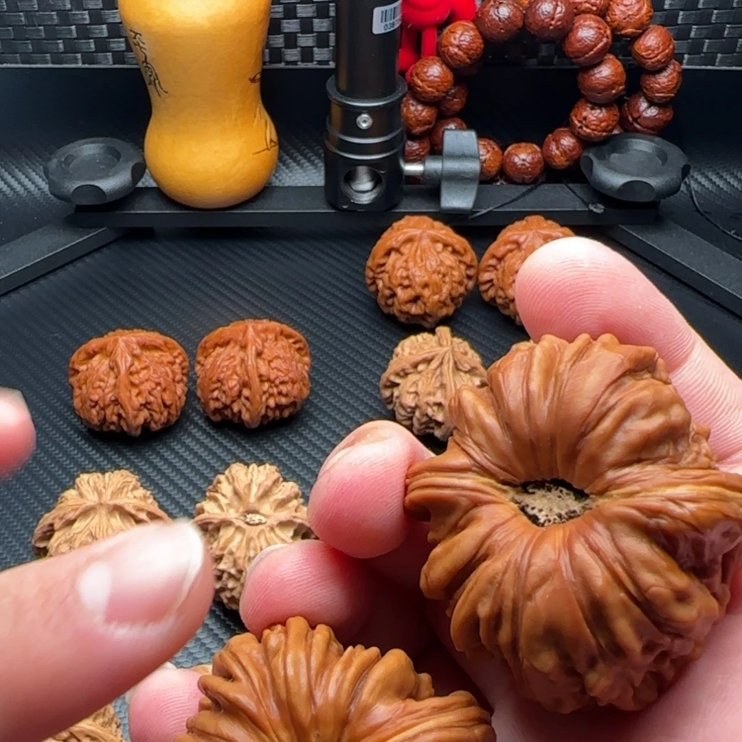 束***己核桃华坤龙凹底有修