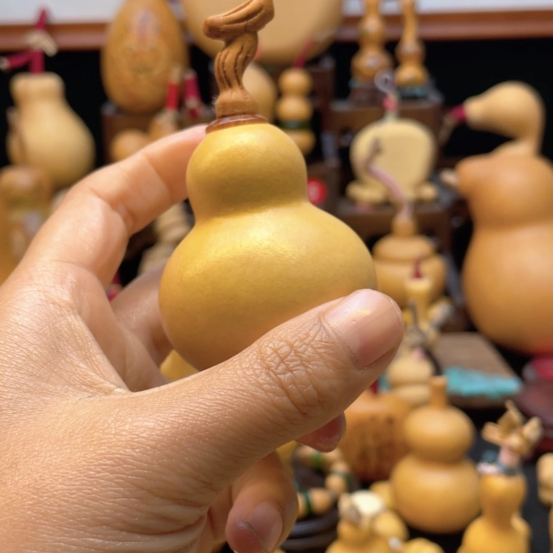 程**意大自然的秘密第十一节