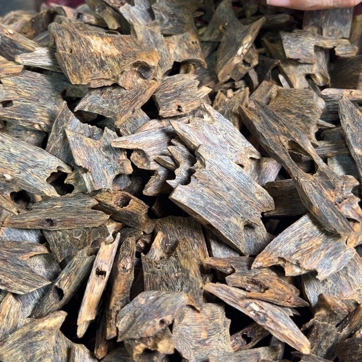 沉香摆件乌身30克多样性发一条