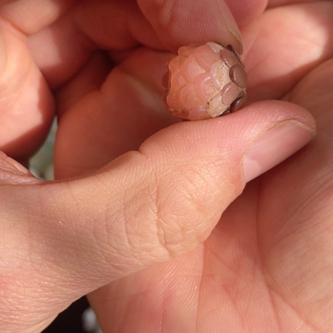 全场漏感谢老师们的支持