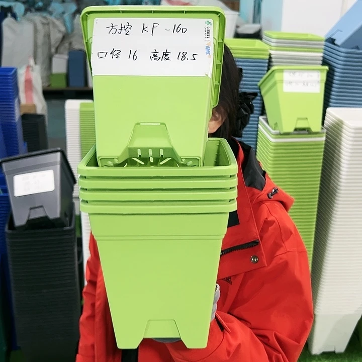 正品方盆口16高18果绿无托5只