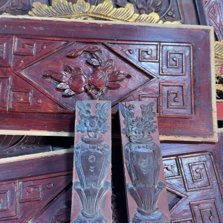 香榧木上***～这么样^在一起