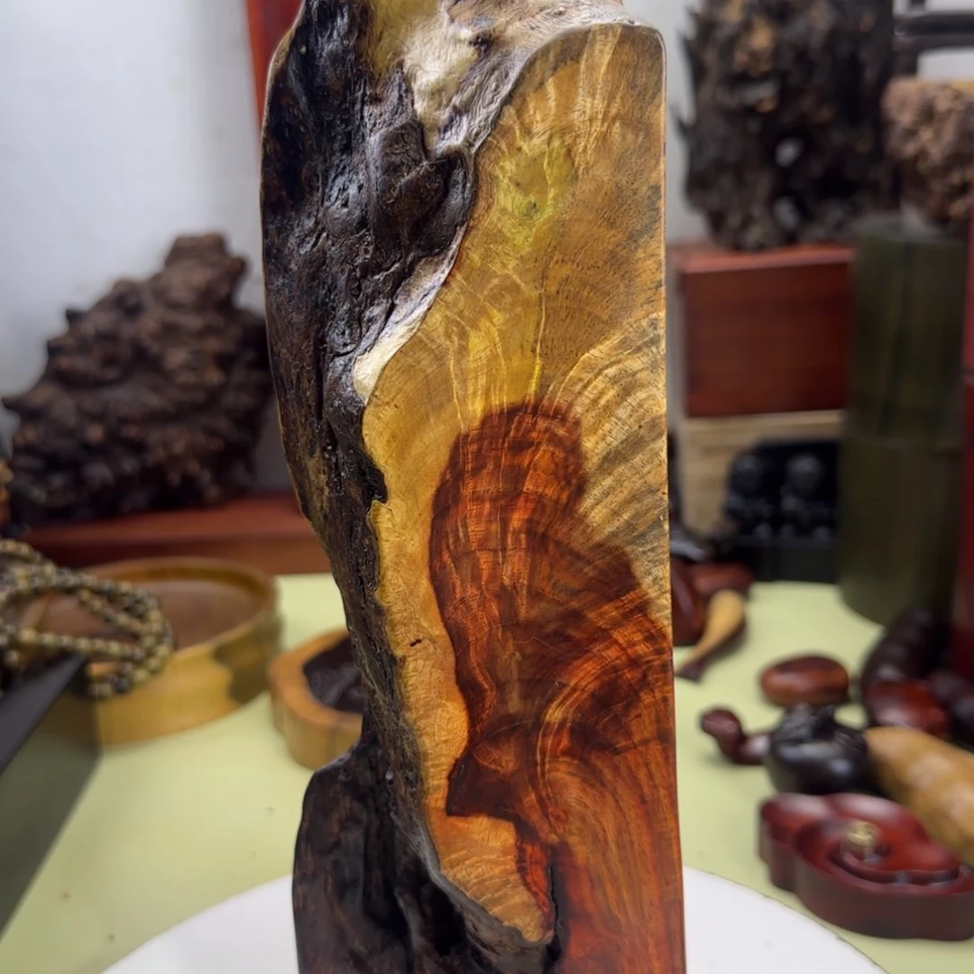 大果紫檀（缅甸花梨）颜