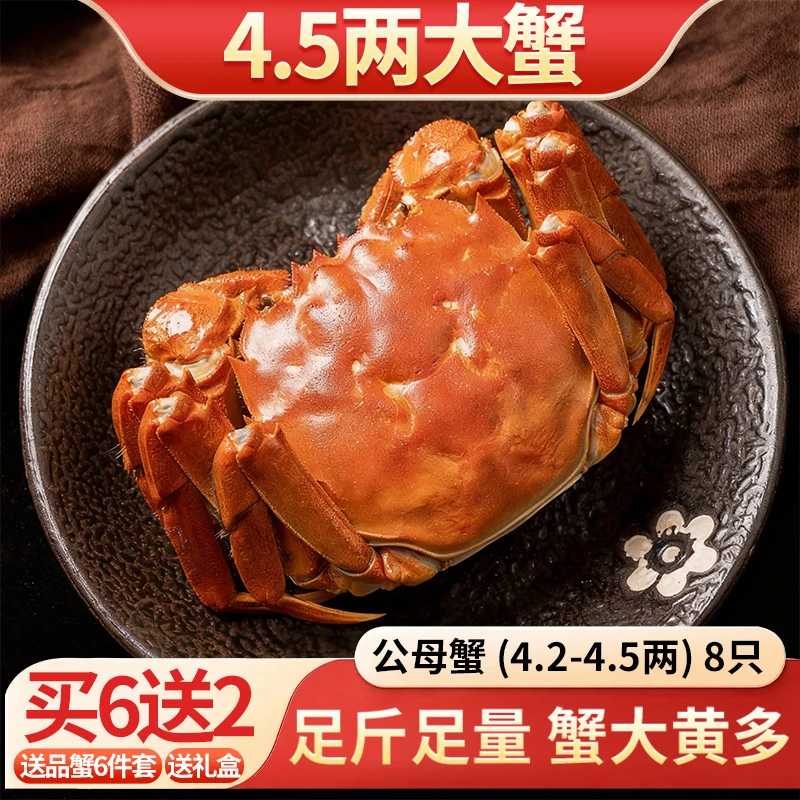 活蟹【金标大闸蟹】公4.5-4.2两母4.5-4.2两 6加2只 共8只 冷链包邮