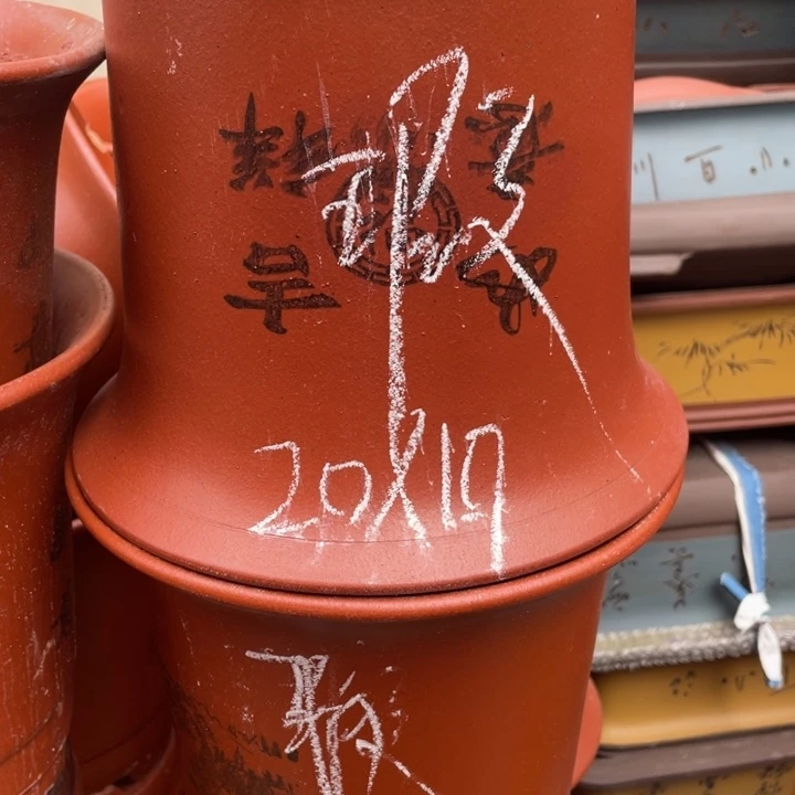 周深周深周深周深周深