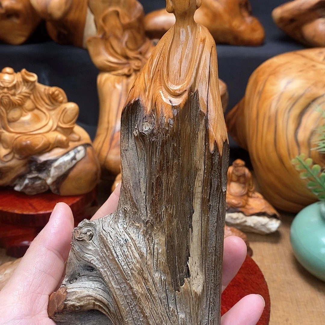 柏木（崖柏）一物一图