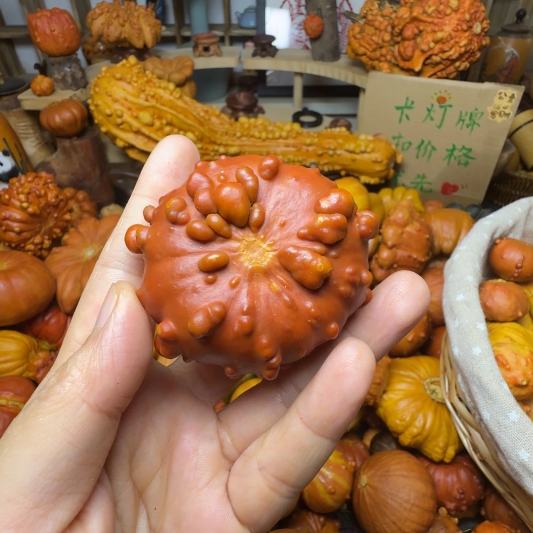 可***爱特价葫芦不退不换