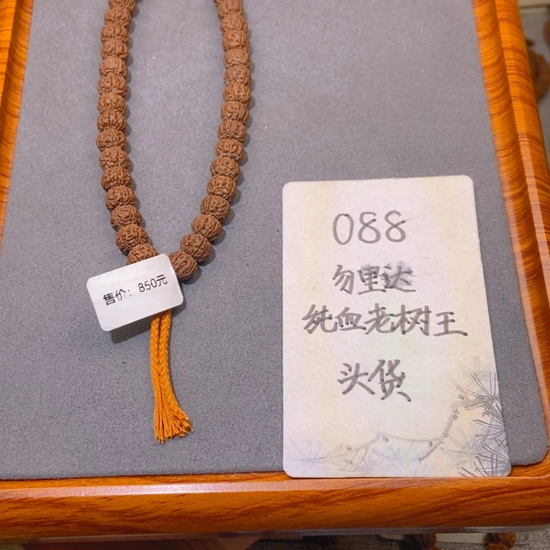 金刚菩提吊坠088头货勿里达纯血老树王9.3