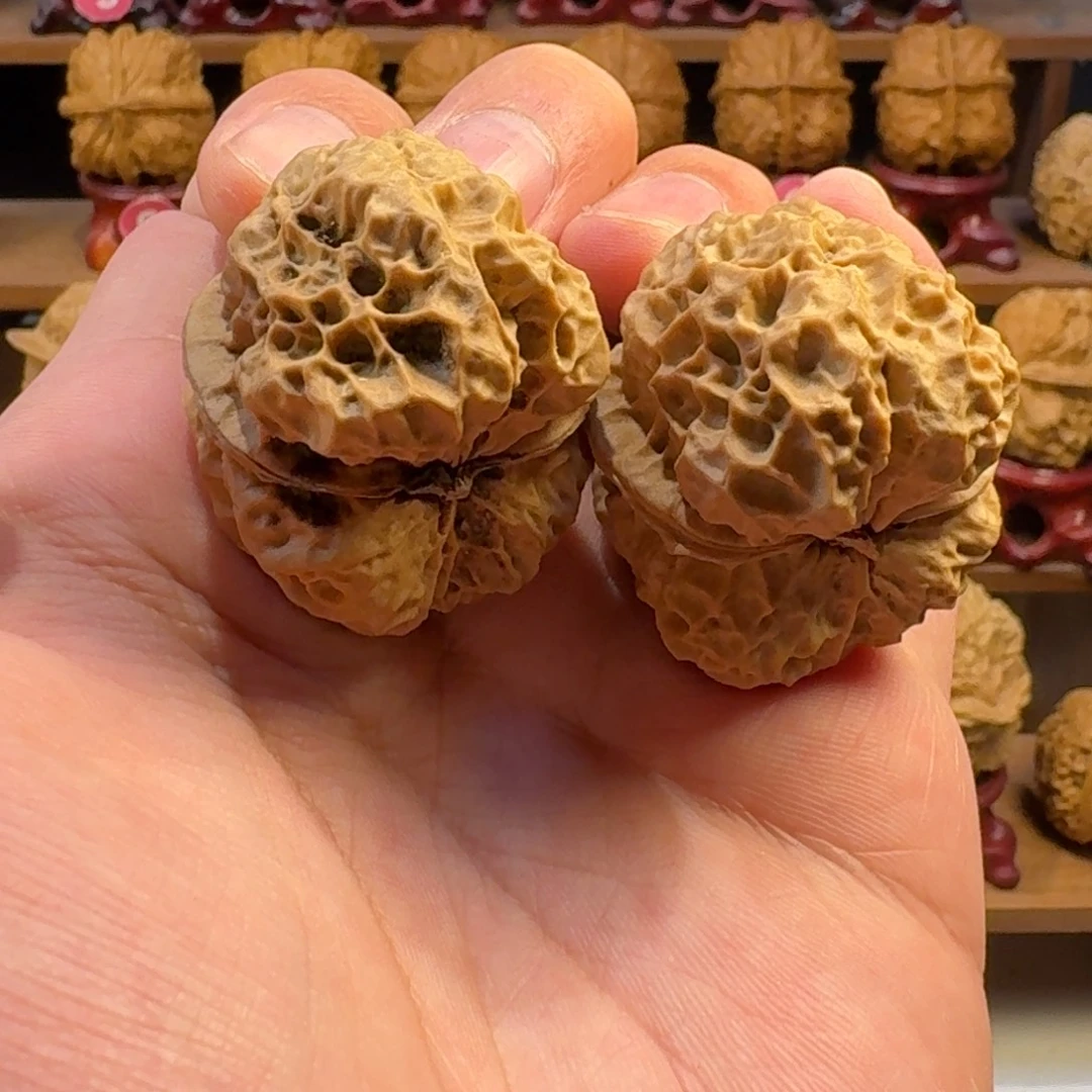铁核桃把件龙纹古蟾40尺