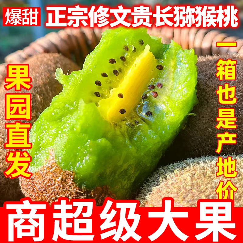 【试吃6枚】贵州修文新鲜贵长猕猴桃现摘现发皮薄肉厚甜蜜多汁
