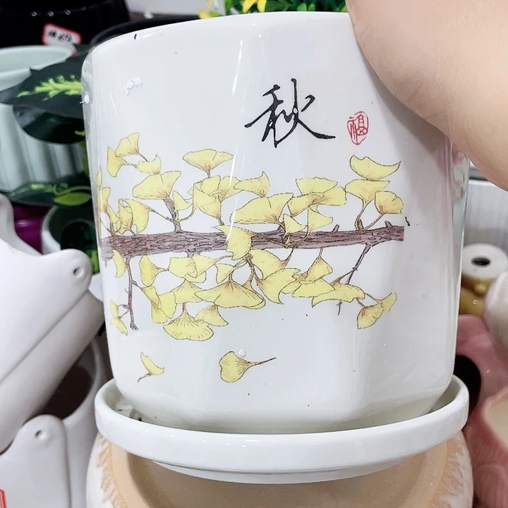 花盆花盆花盆花盆花盆花盆花盆