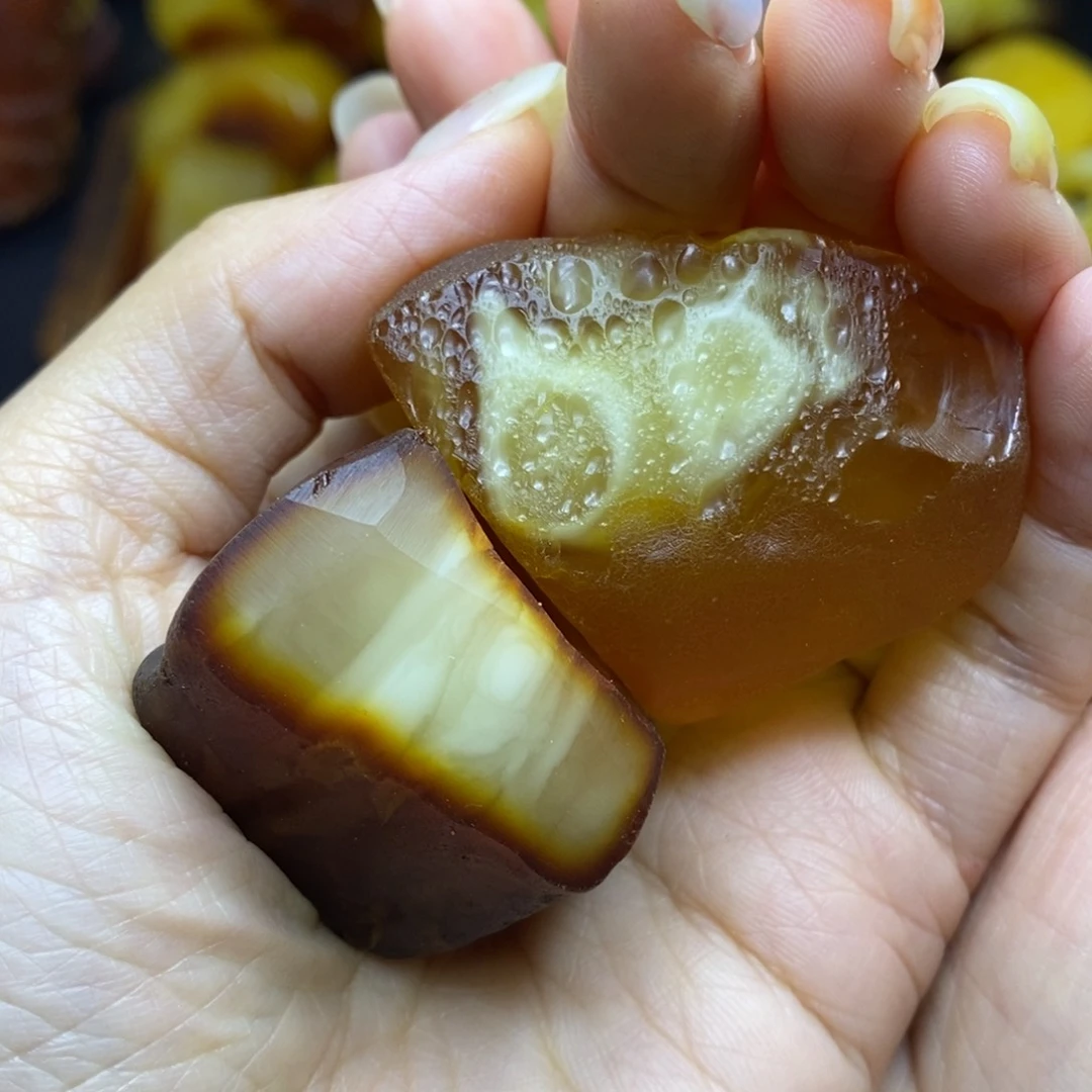 定制琥珀未镶嵌阳****员胖