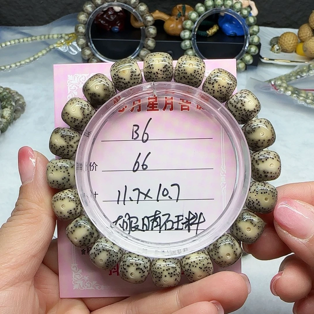 心月星月菩提一号B6