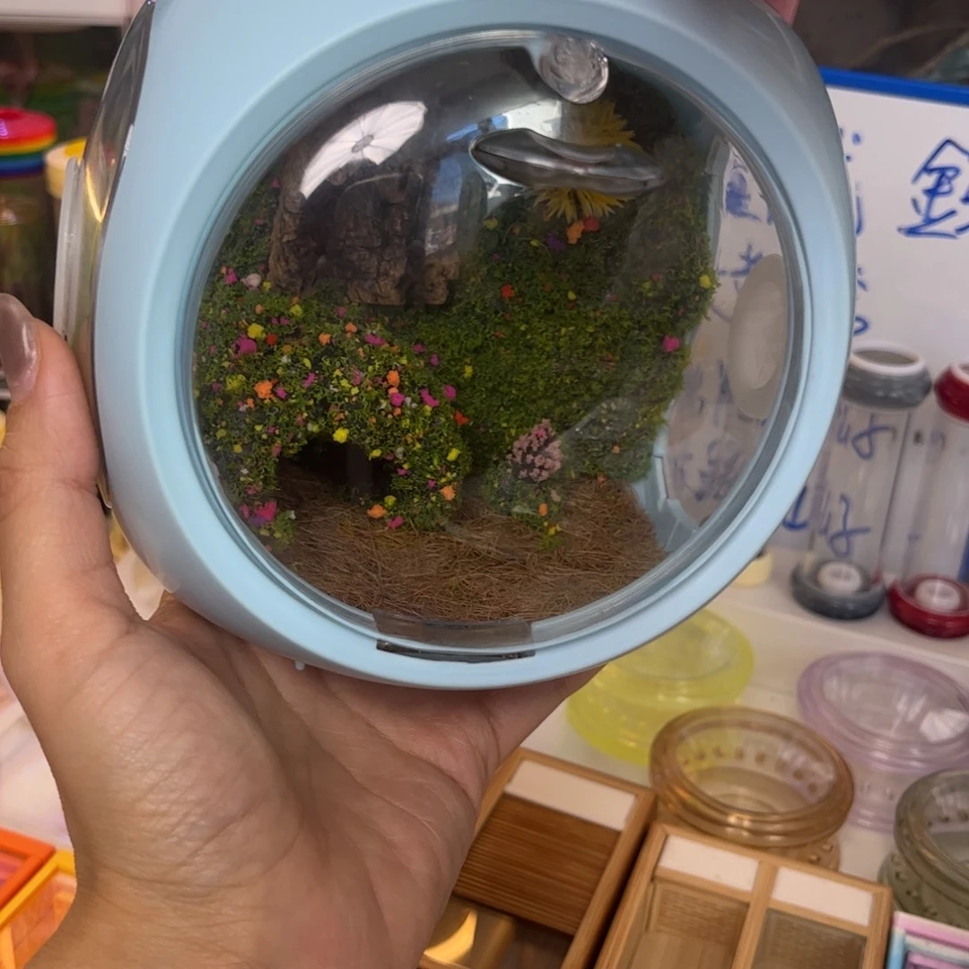 泡泡玛特加素背拍拍拍拍