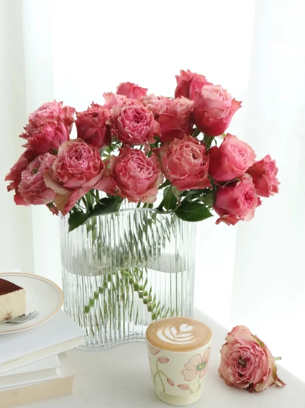 【全场任意两单包邮】伯利兹玫瑰