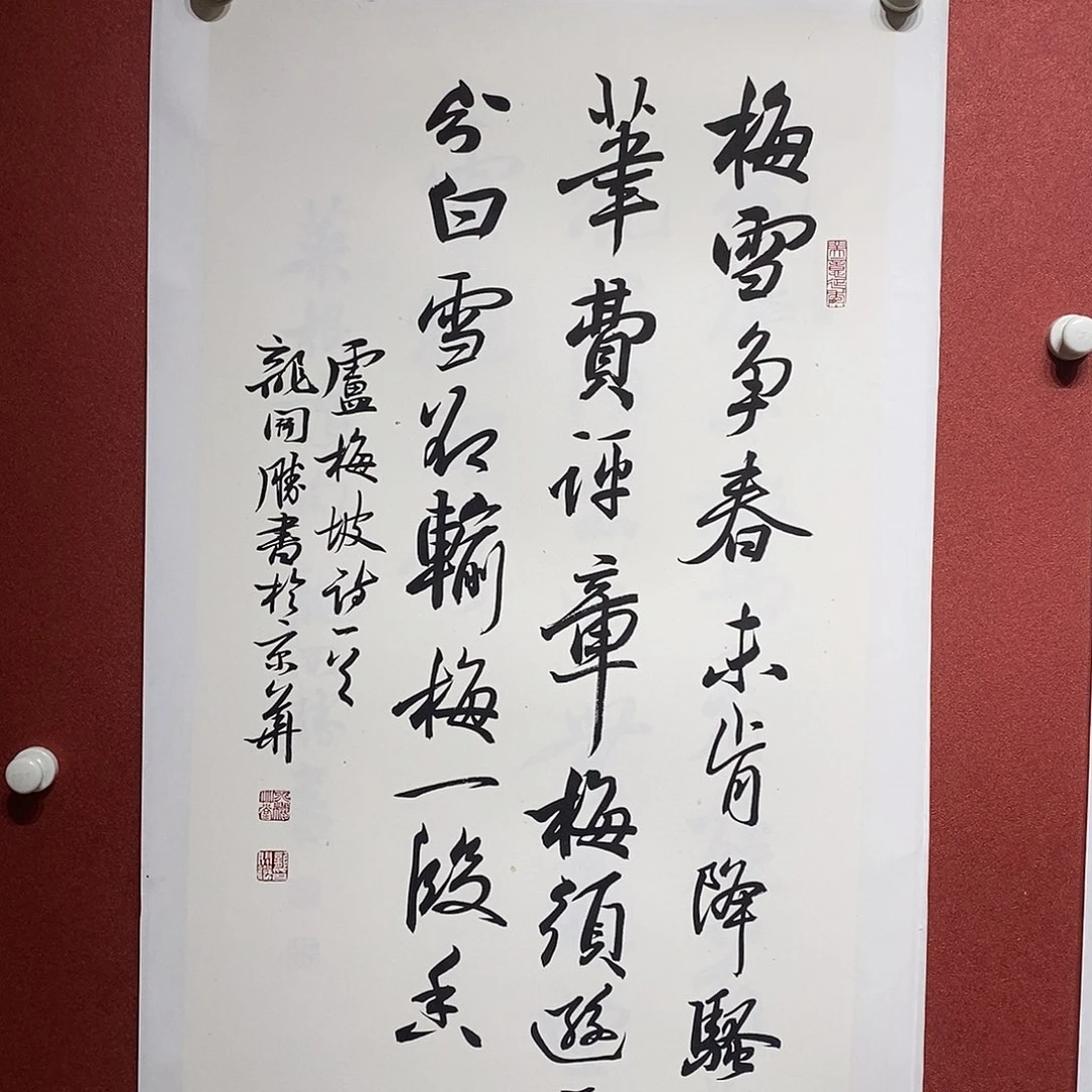 书法梅雪直播大漏