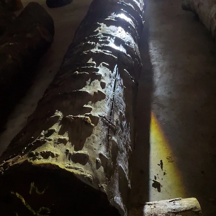 阿祥木业 一物一拍