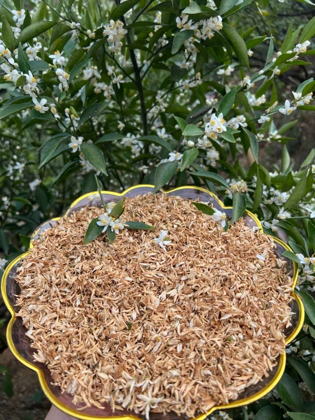 2025年茶枝柑柑花天然生晒花香浓郁