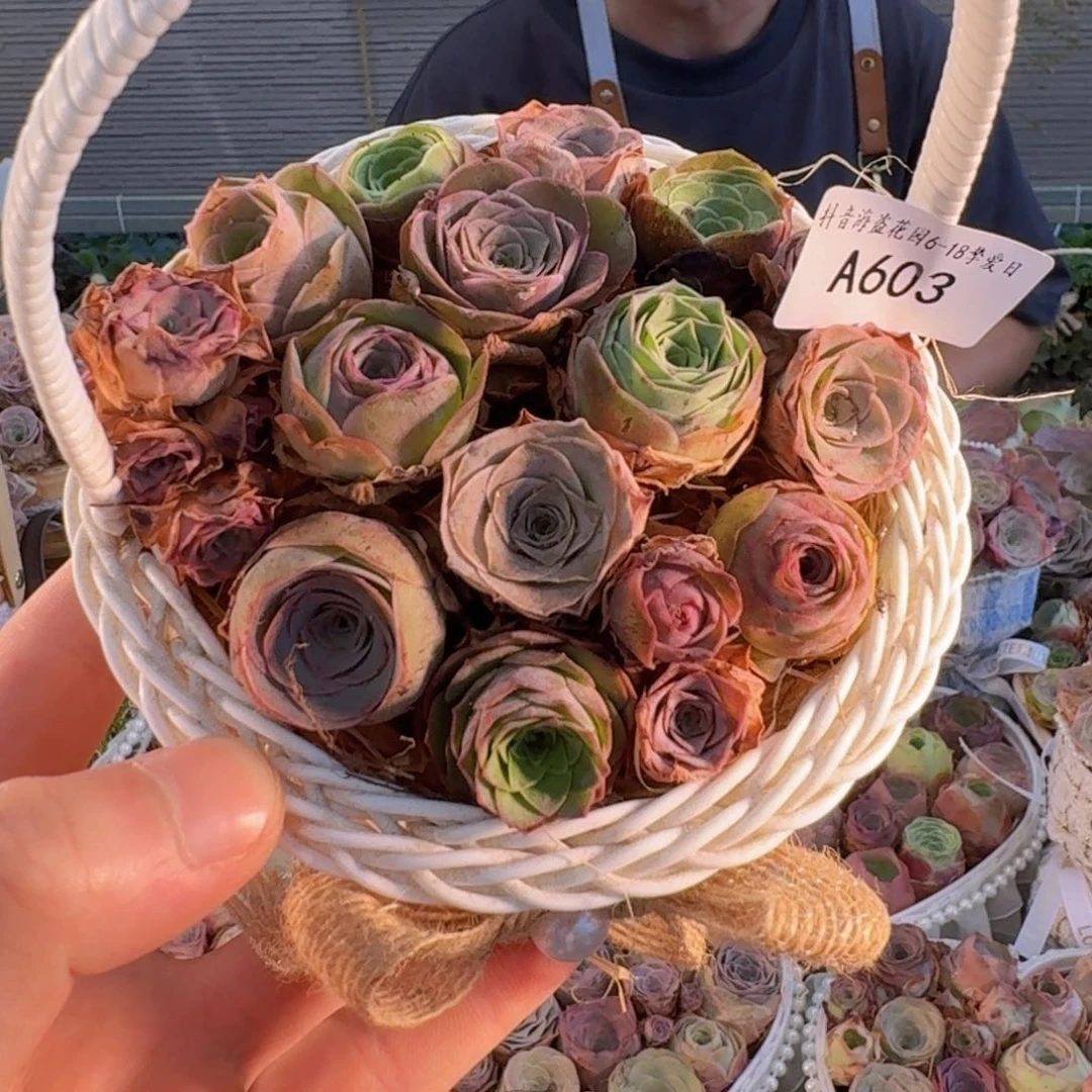 A603 玫瑰花篮组合
