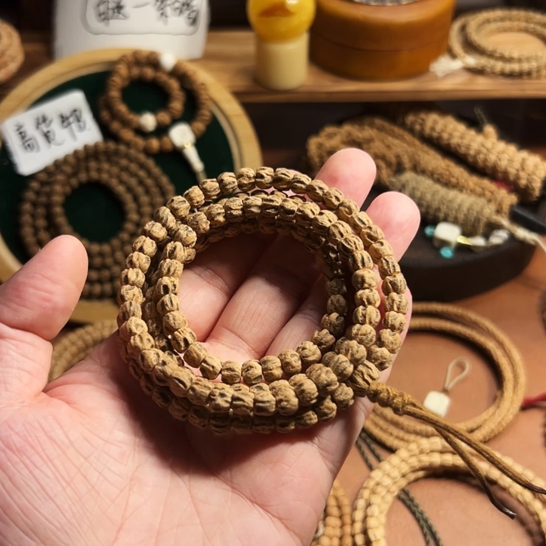 嘿***.直切深坑脏鬼柏香籽