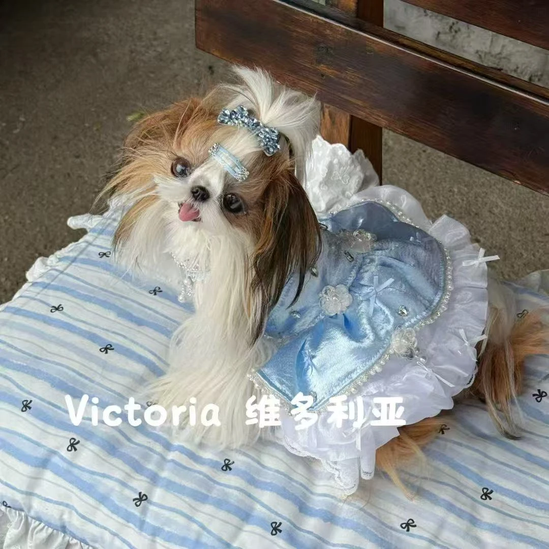 初桃宠物服饰小礼服链接no退no换（拍下后备注尺码）