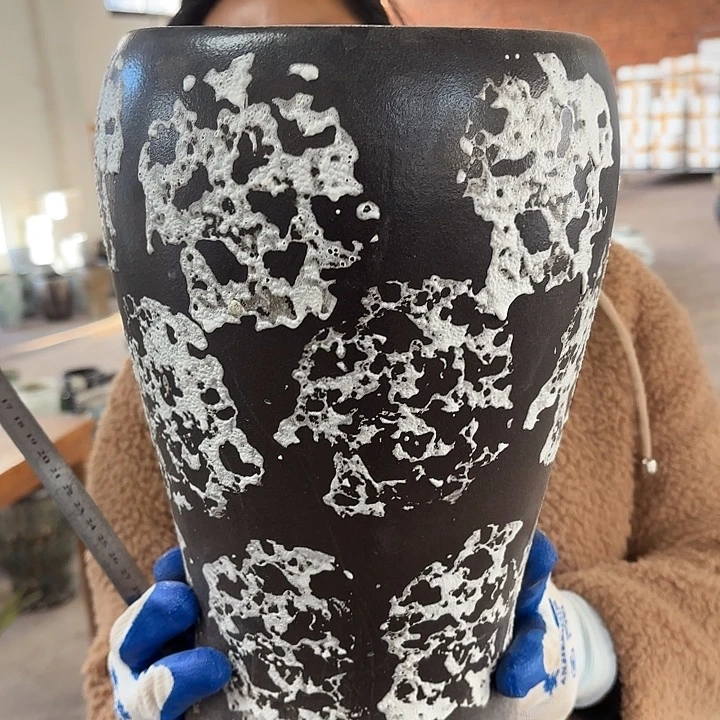 正品高31口19一个