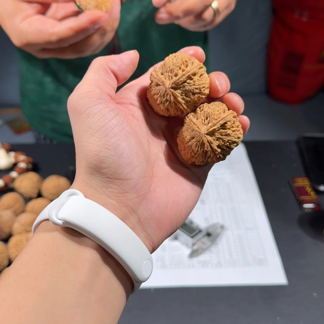 文玩核桃把件198号粗筋霸王三棱