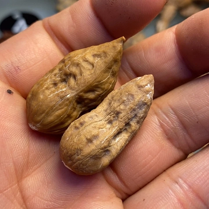 文玩核桃吊坠拿姐工艺90