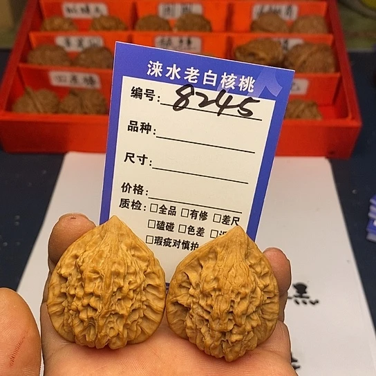 核桃手串/手链核桃111111111