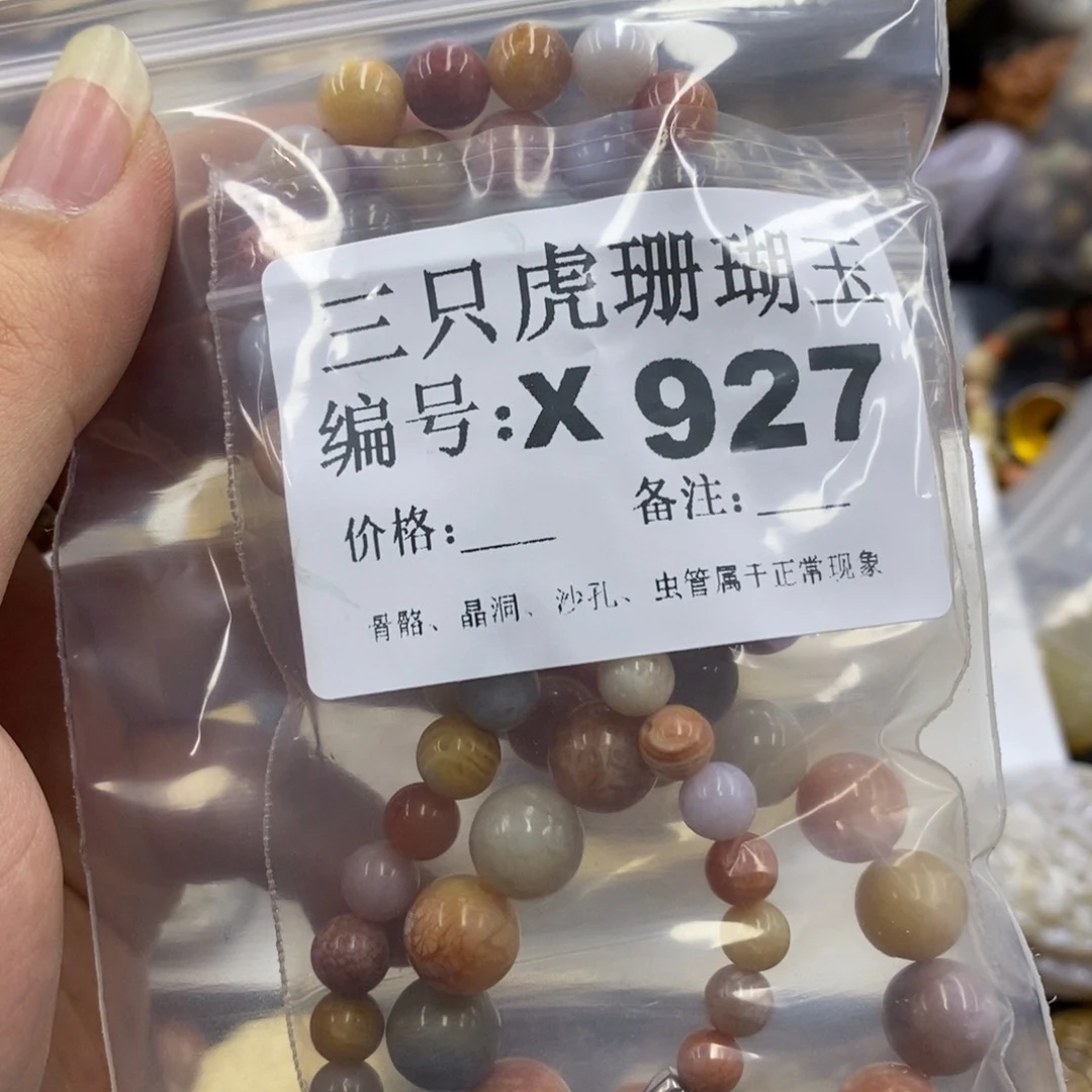 硅化珊瑚（珊瑚玉）X未镶嵌翌**辰