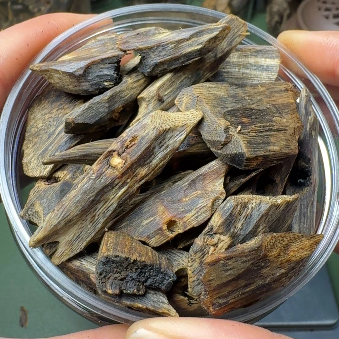 沉香手把件闲****歌海南陆河高端老块料151克