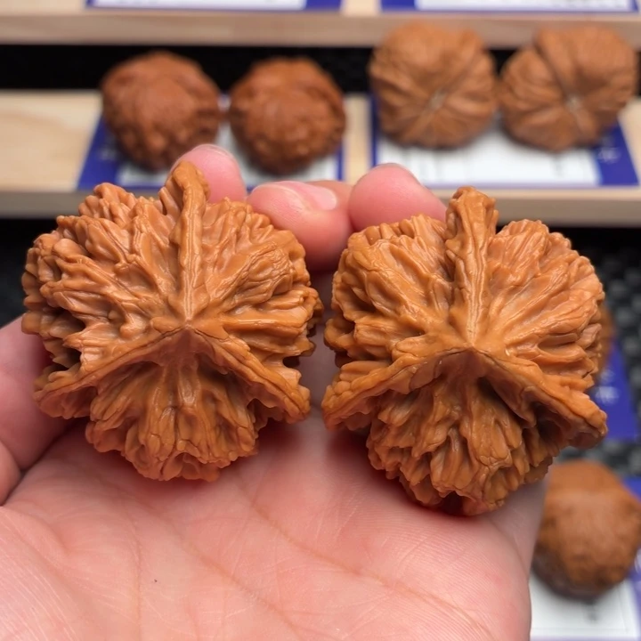 核桃9号全品44尺球奔