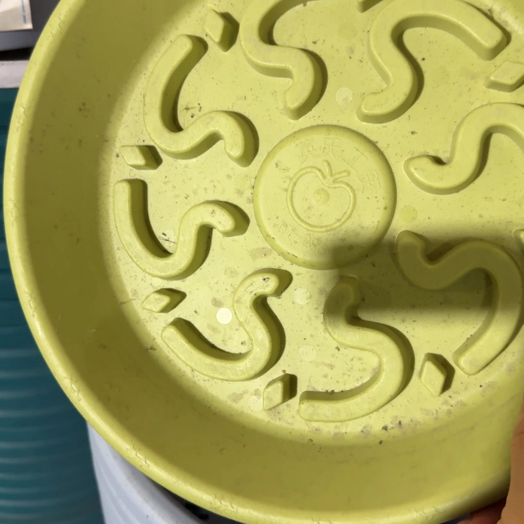 果绿360托盘6个托盘