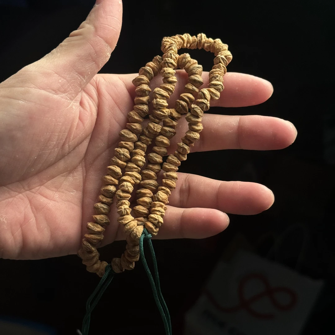 热振柏香籽斜切红芽手持拍一发二