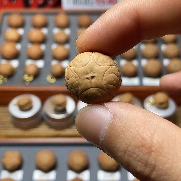凤眼菩提手串卡*米LN7五星